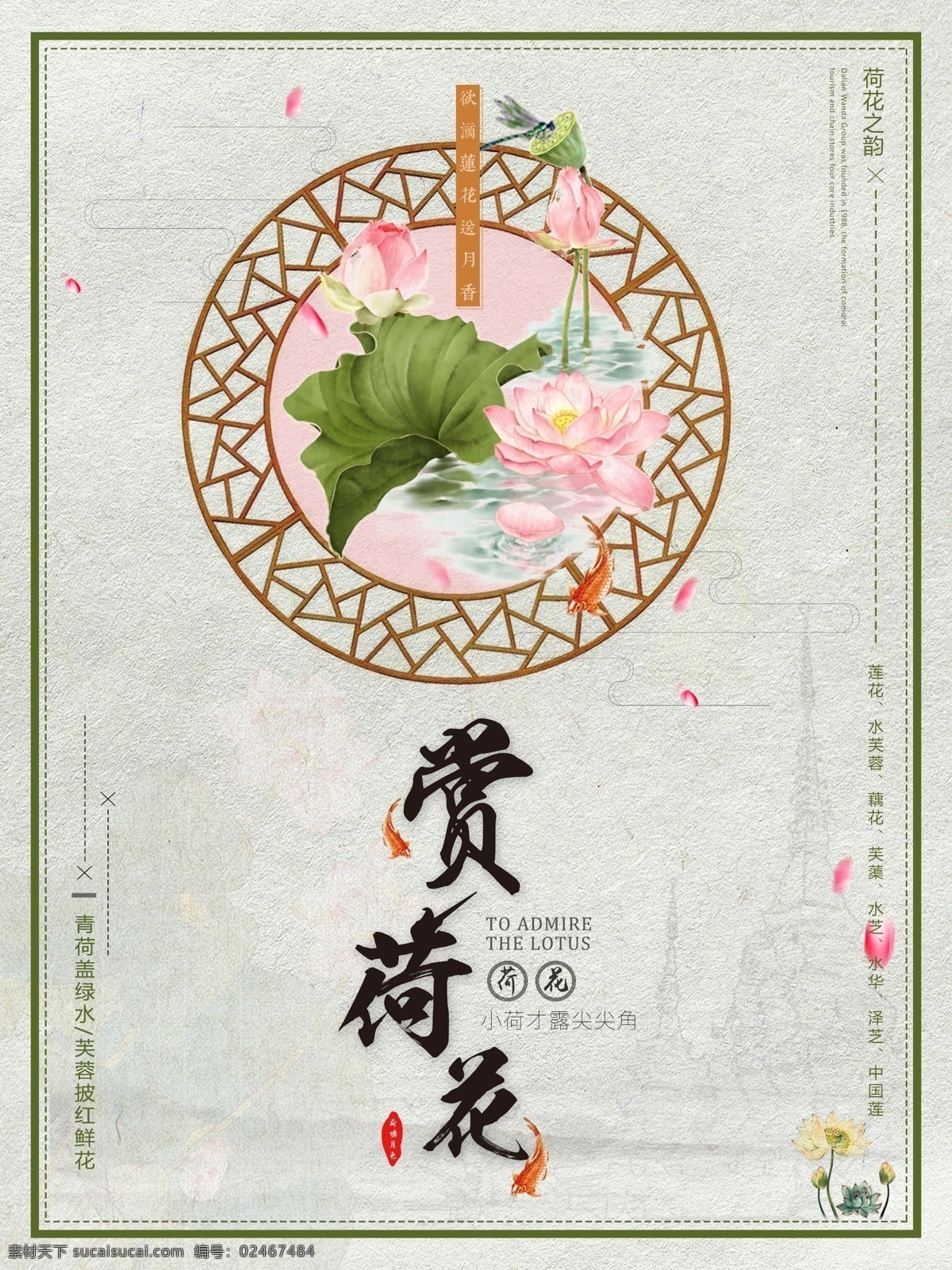 欲 滴 莲花 送 月 香 荷花 韵 赏 古风 简约 流连 流连印象 荷花之韵 赏荷花 看荷花 优美古风
