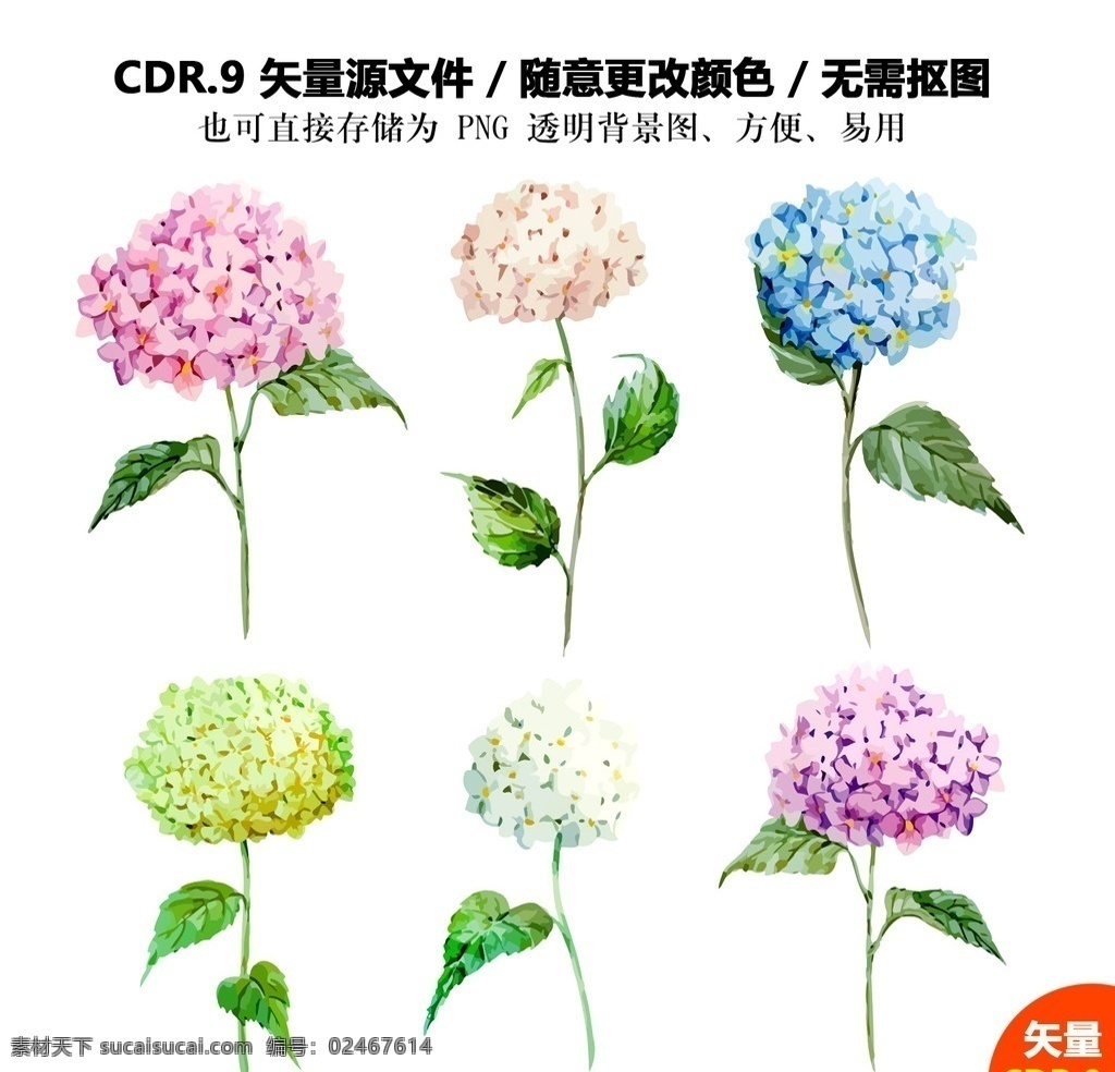 手绘 卡通 鲜花 绣 球花 矢量图 手绘鲜花 卡通鲜花 矢量素材 矢量 鲜花图标 鲜花素材 cdr素材 手绘矢量图 红色 黄色 蓝色 背景 绿色 粉红色 红色背景 cdr源文件 鲜花矢量图 玫瑰花 腊梅花 月季花 玉兰花 郁金香 菊花 牡丹花 花瓶 绣球花 绣球 设计素材 底纹边框 其他素材