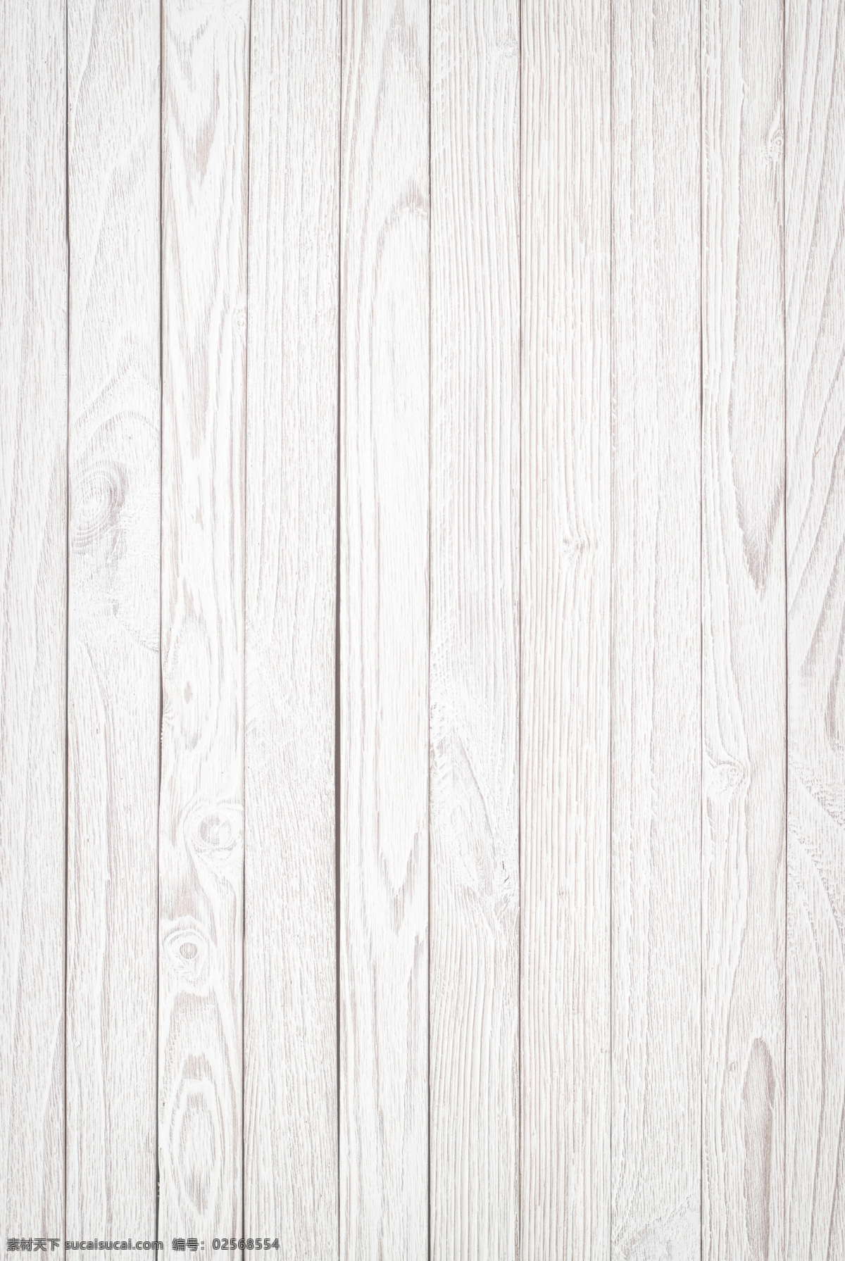 白桦树 纹理 树木 桌面 背景 背景素材