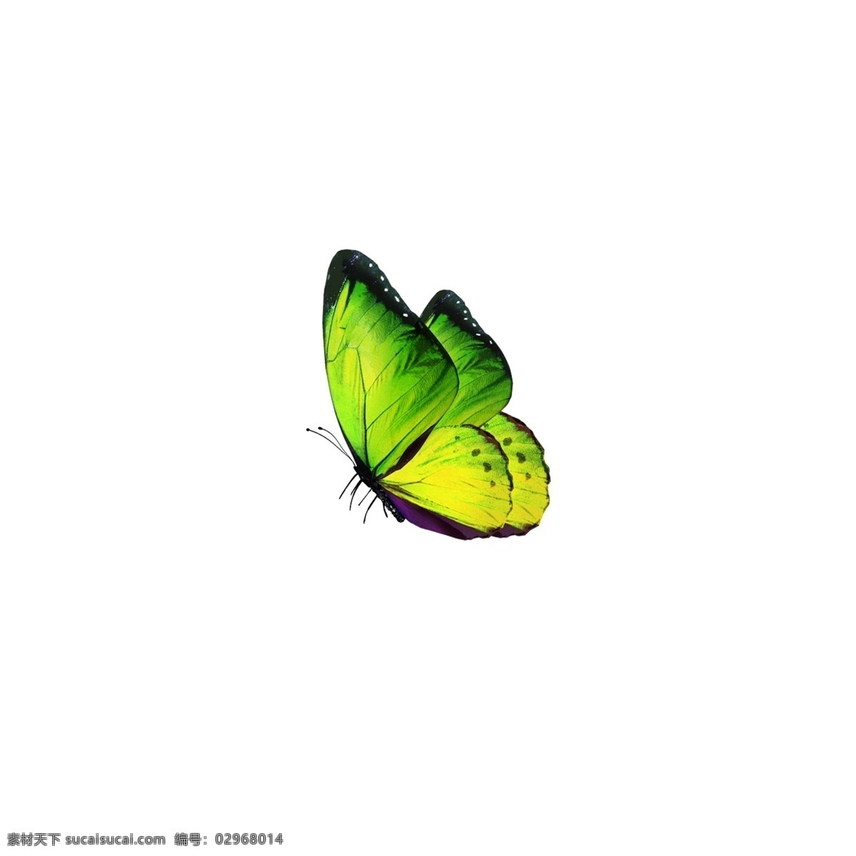 绿色 的卡 通 蝴蝶 卡通 创意 装饰素材