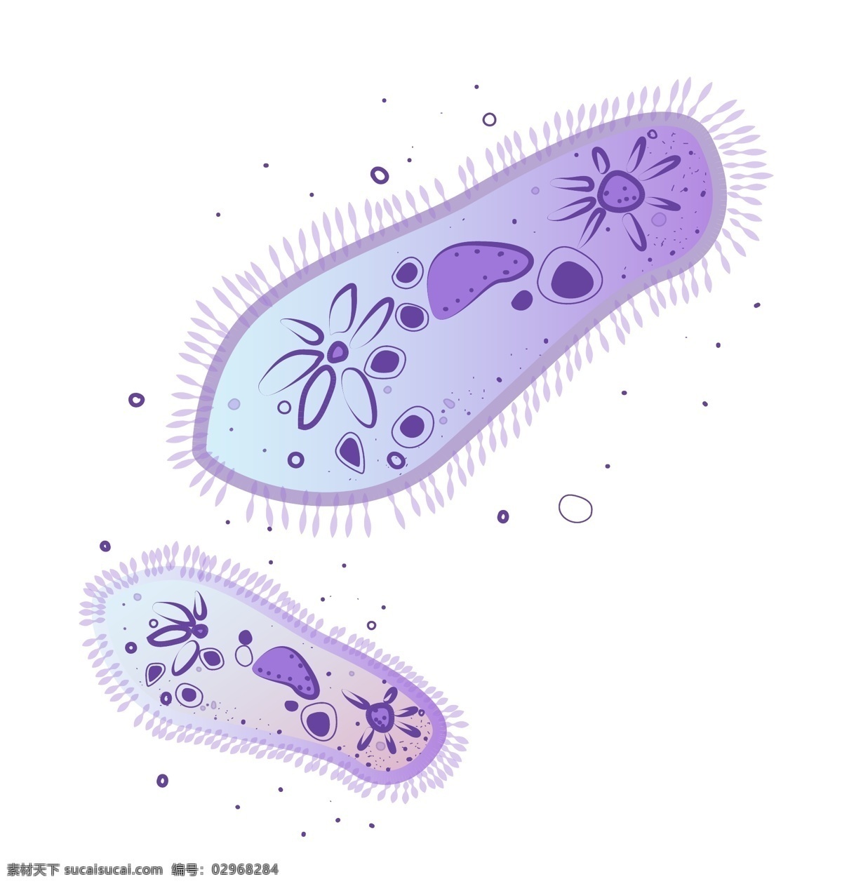 化学 细胞 反应 插图 染色体 化学细胞 生物细胞 显微镜 化学反应 实验