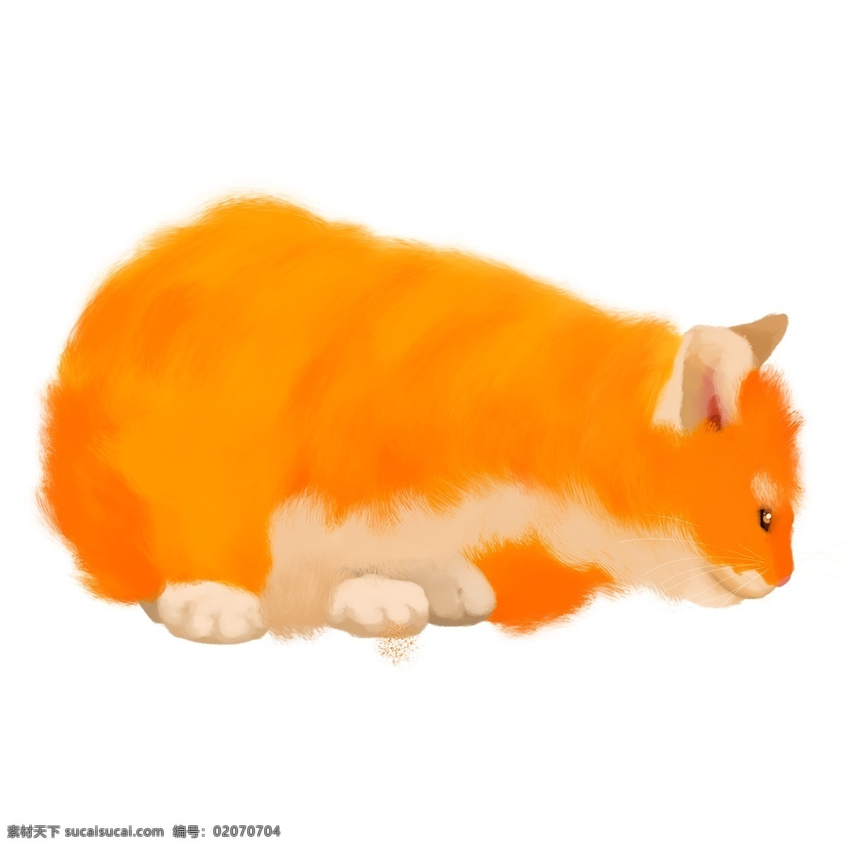 可爱 毛茸茸 宠物 橘 猫 手绘 猫咪 动物素材 手绘素材 毛茸茸的 橘猫