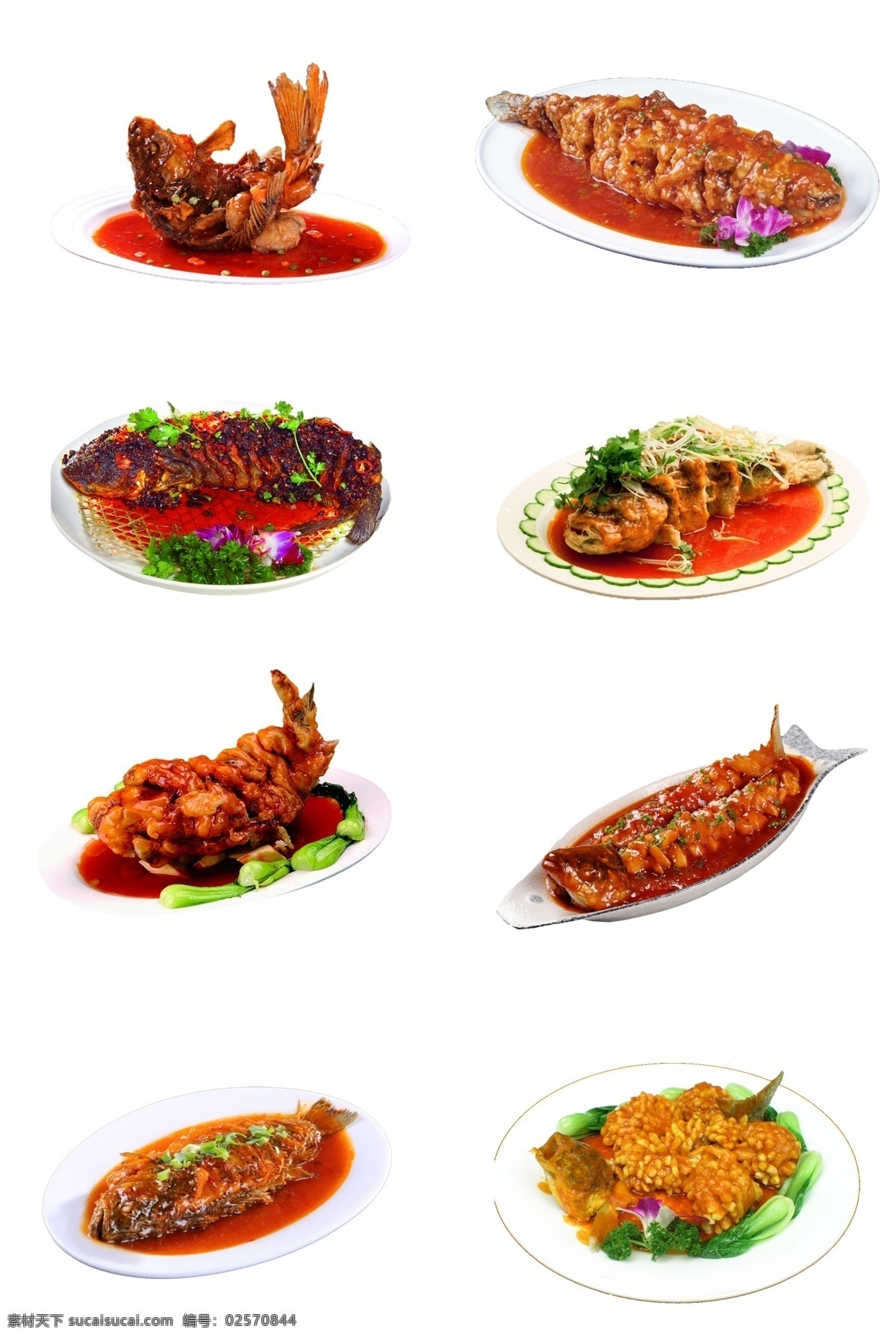 糖醋鱼图片 糖醋鱼 糖醋鲤鱼 红烧鱼 美食海报 招牌菜式 新菜式 舌尖美味 家常菜推荐 舌尖美食 特色美食 传统美食 餐饮美食 高清菜谱用图 美食类 家常菜美食 美食 中餐 食材 食物 食品 菜系 家常菜 美食摄影 诱人美食 中国美食 美食图片 菜谱图片
