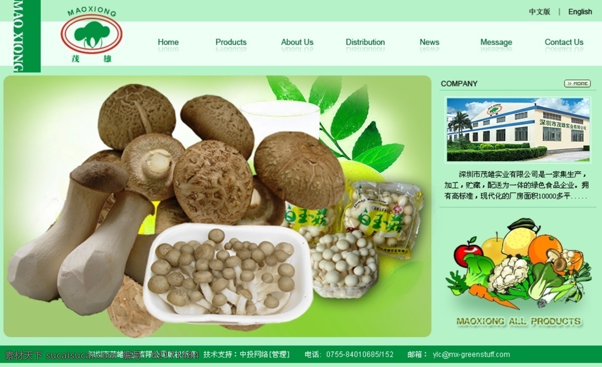网页模板 模板 蔬菜 水果 网站 效果图 源文件 中文模版 大头菜 硬头菜 茂雄 网页素材