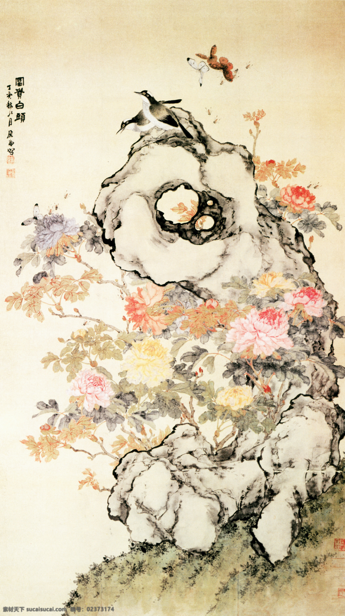 富贵白头图 花鸟画 中国 古画 中国古画 设计素材 花鸟名画 古典藏画 书画美术 白色