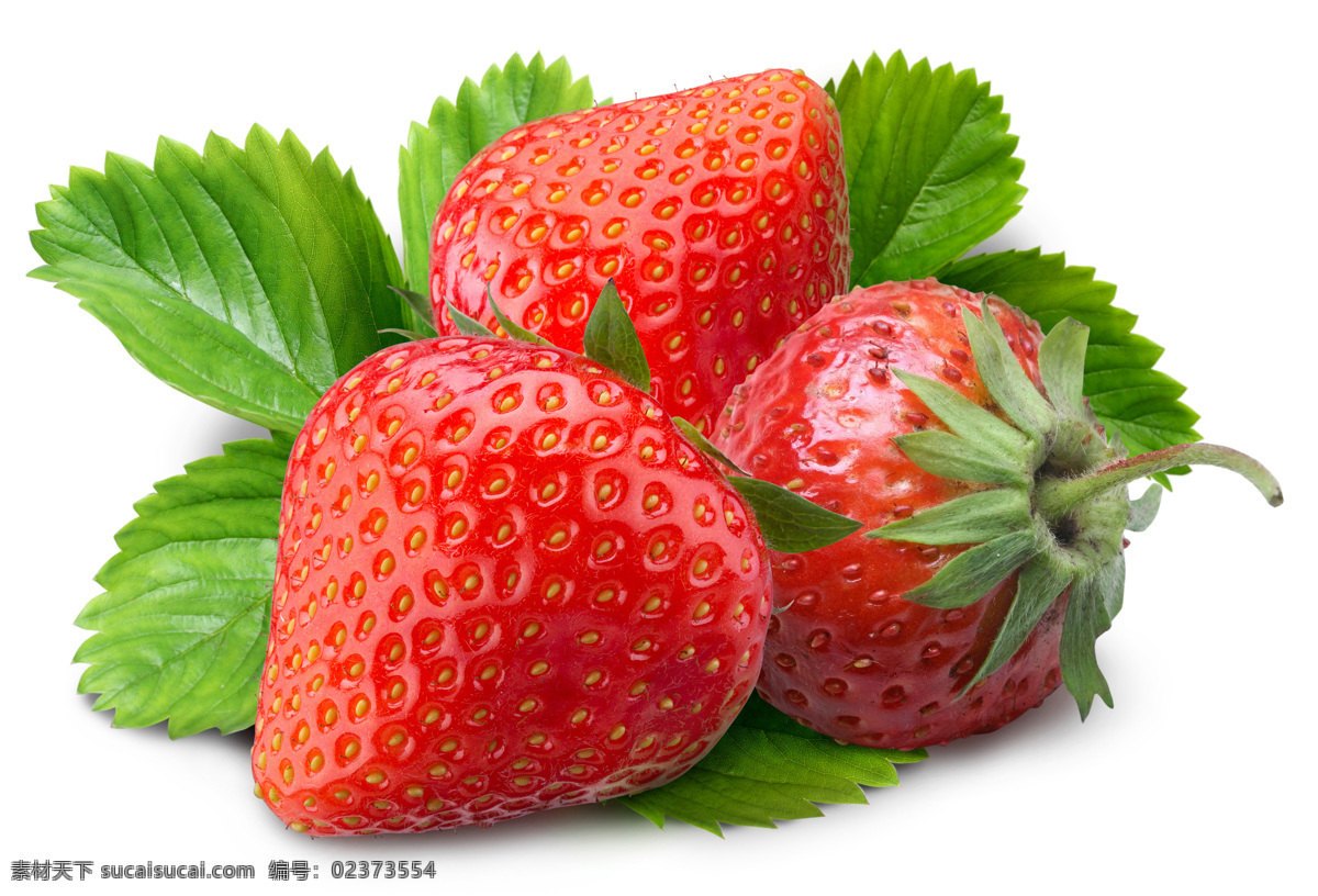 草莓 新鲜 诱人 高清 水果 生物世界