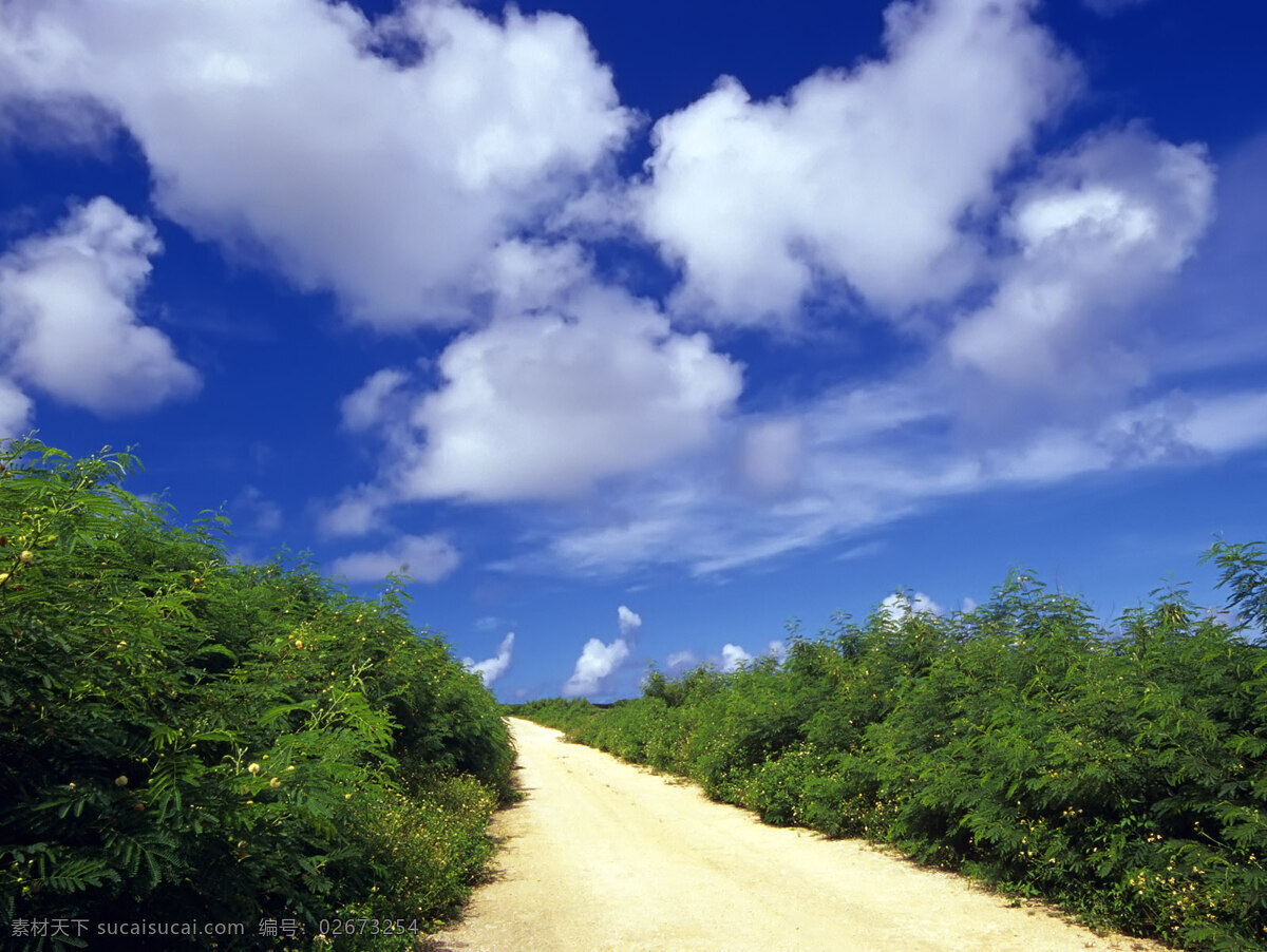 蓝天 下 路 白云 蓝蓝的天 绿绿的草 幽远的小路 风景 生活 旅游餐饮