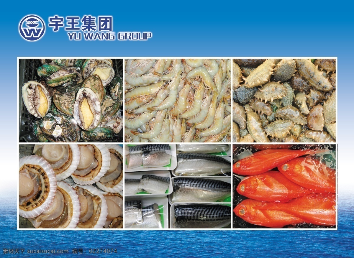 水产品海鲜 鲍鱼 大虾 海参 鱼 扇贝 海鲜 背景素材 分层 源文件