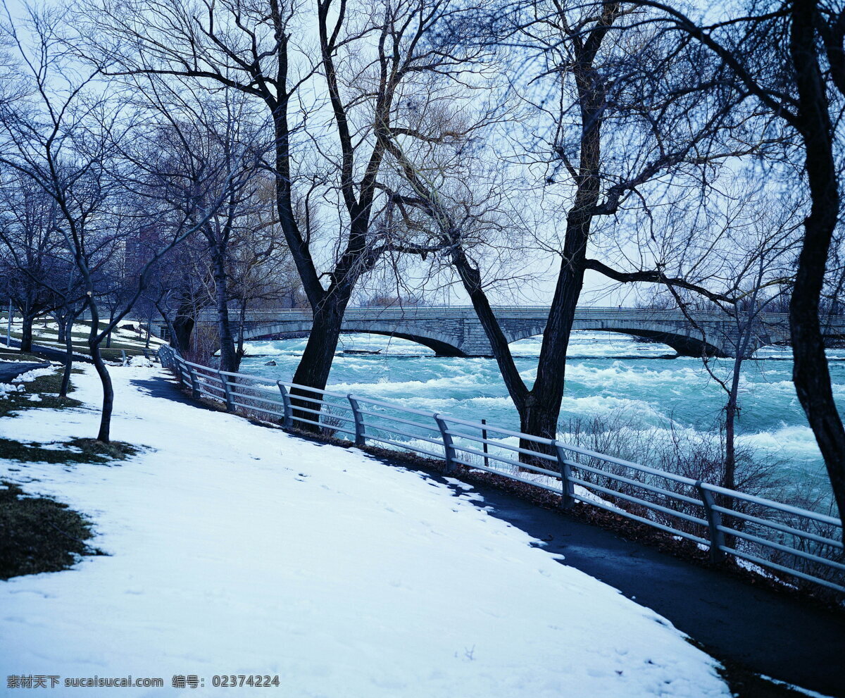 冬天 雪景 大雪 冬天雪景 风景 生活 旅游餐饮