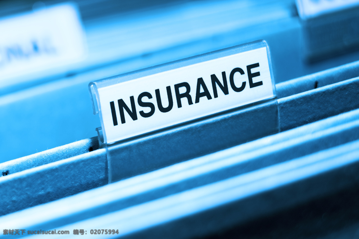保险 标签 保障机制 风险管理 保险主题 其他类别 生活百科