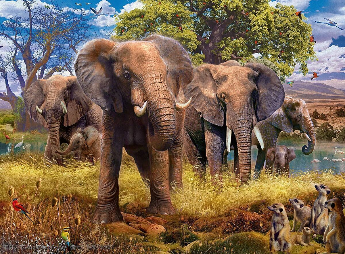 野生动物大象 大象 森林 树 胡泊 草原