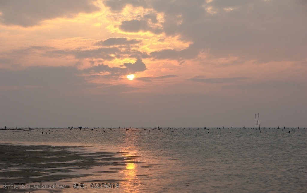 徐闻 珊瑚礁 国家级 保护 广东 徐闻珊瑚礁 自然保护区 夕阳西下 自然风景 自然景观