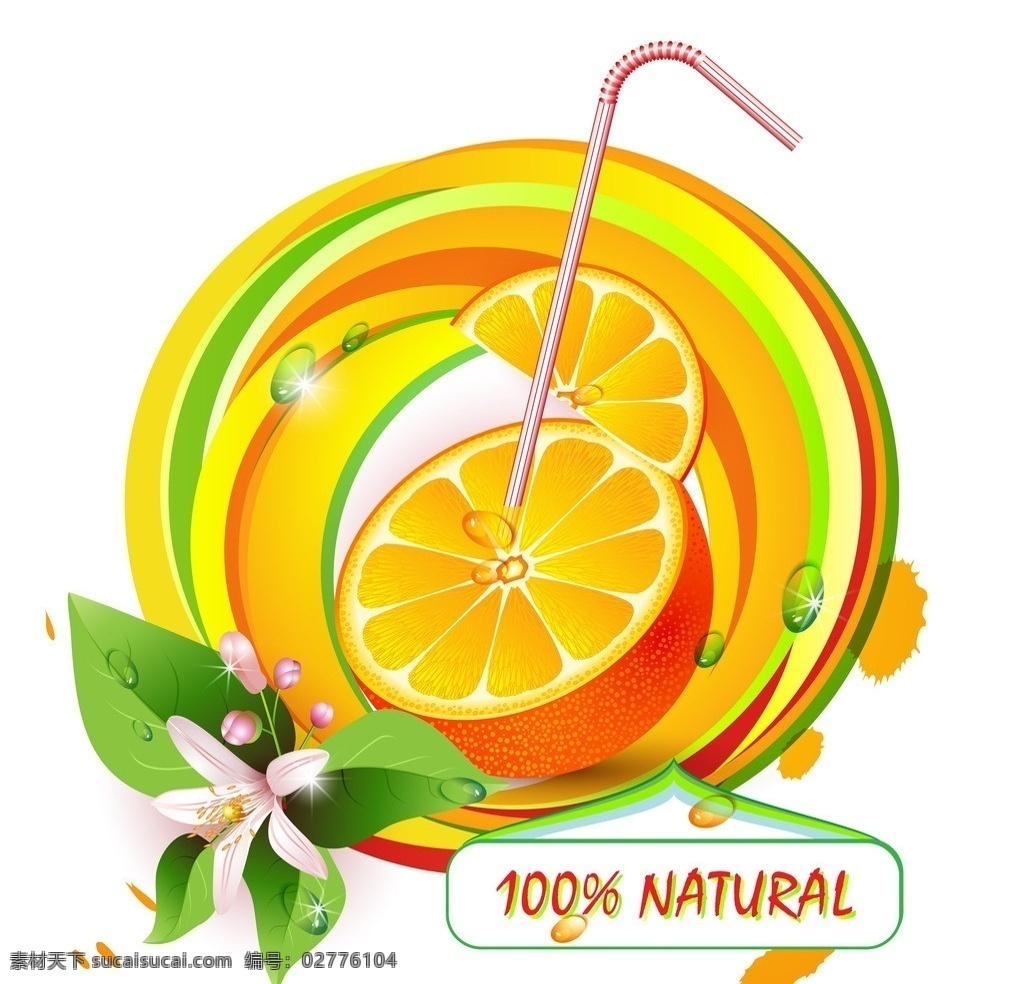 橙子 橙汁 新鲜水果 新鲜 西柚 绿叶 水果 柑橘 桔子 矢量素材 生物世界 矢量