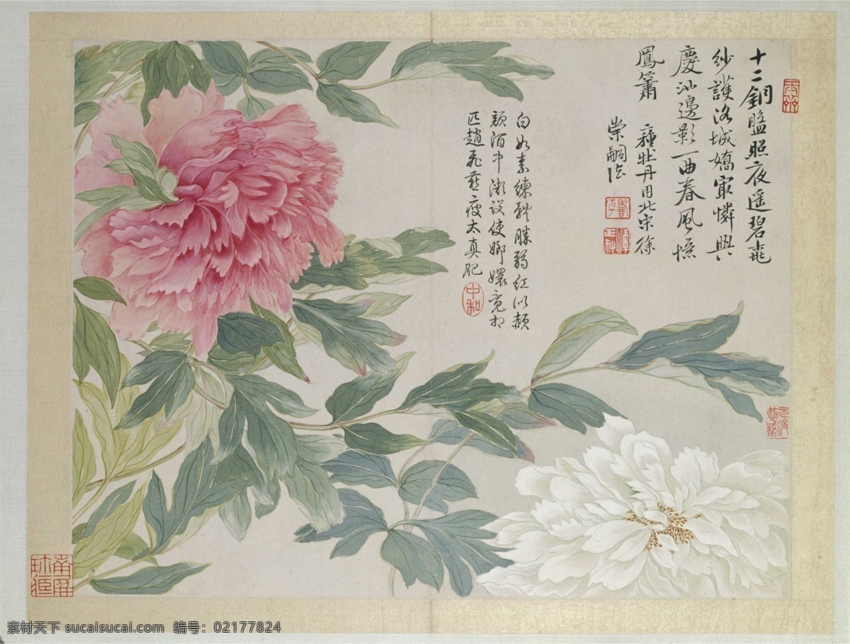 恽寿平 山水 花鸟 图册 牡丹 清代 花卉 工笔 国画 文化艺术 绘画书法