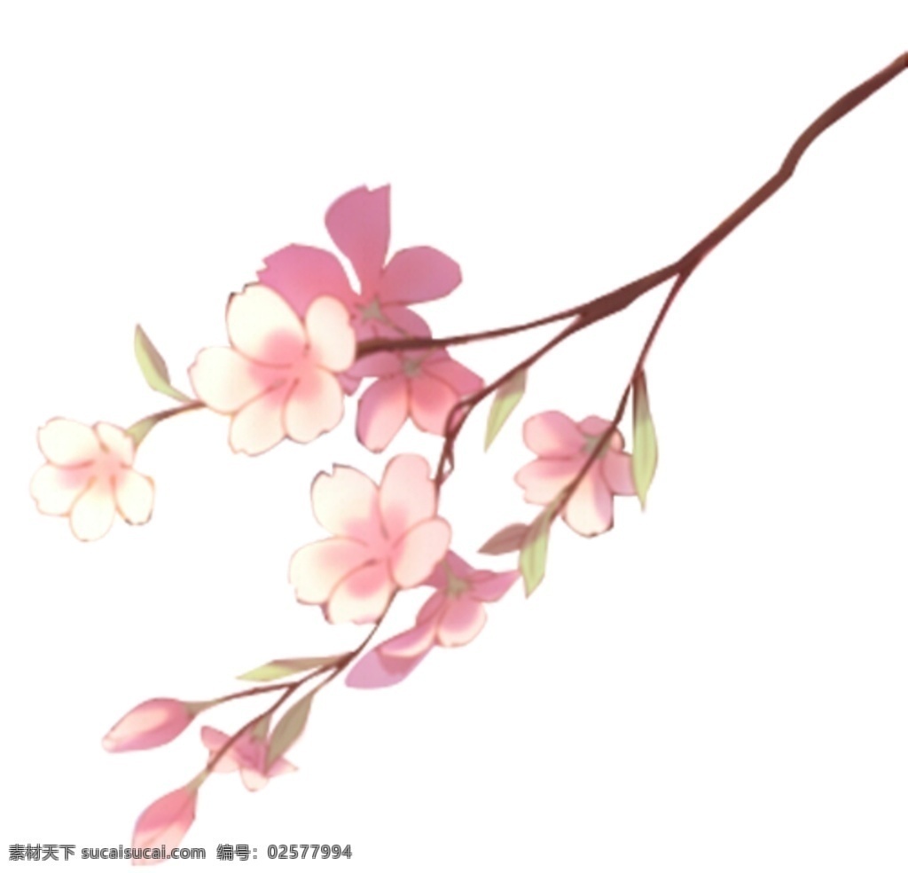 桃花图片 桃花 桃花素材 免扣素材 桃花背景 水彩花朵 桃花花瓣 工笔画花朵 桃花林 桃花林背景 桃花封面 桃花摄影 桃花印花 桃花花卉 一束桃花 桃花花朵 桃花油画 十里桃花 花海 矢量桃花 卡通桃花 桃花剪影 桃花工笔画 桃花水彩 水彩桃花 国画桃花 国画花朵 粉色桃花 粉红色桃花 桃花树枝 自然景观