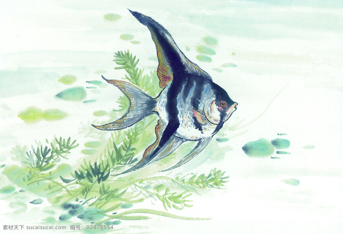生物 鱼类 动物 绘画 古图