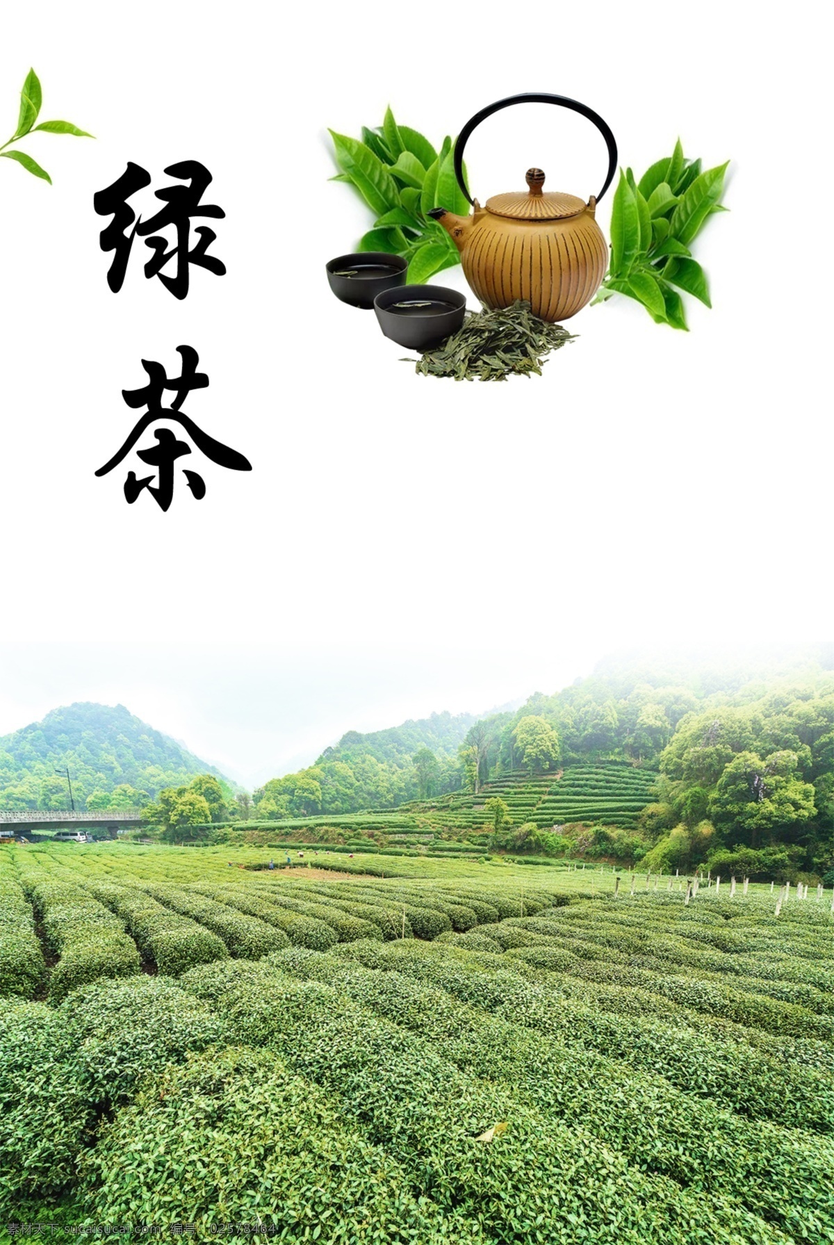 绿茶 茶 茶叶 茶道 茶文化 茶园 茶韵 茶工艺 茶叶海报 中国茶道 茶包装 茶馆 茶展板 茶叶包装 茶文化广告 茶文化海报 茶壶 传统茶文化 茶行 茶广告 禅茶 春茶海报 品茶 茶谱 功夫茶 红茶 龙井茶 铁观音 普洱茶 茶人物 茶剪影 分层