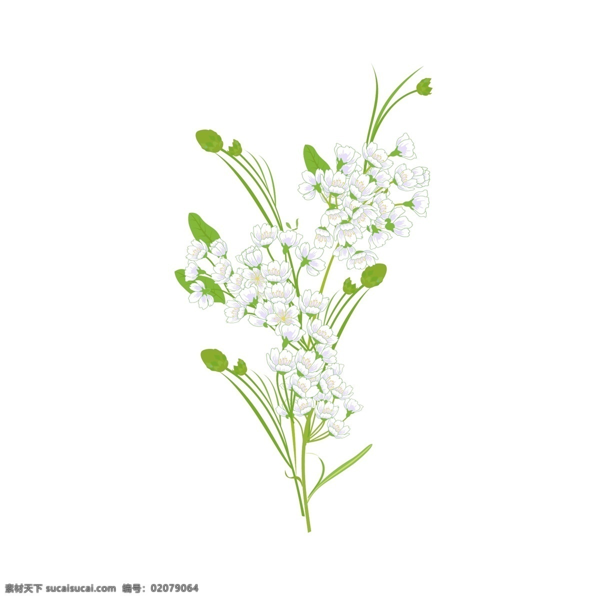 手绘 风 装饰 植物 观赏 清爽 色 小 花卉 小花朵 春天 嫩枝