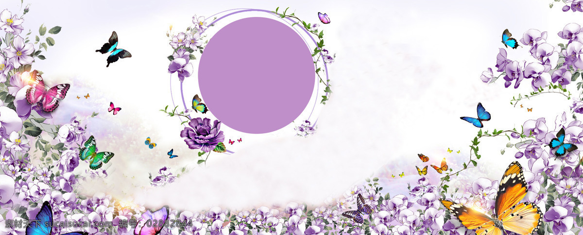 唯美 紫色 花朵 蝴蝶 背景 banner 春季