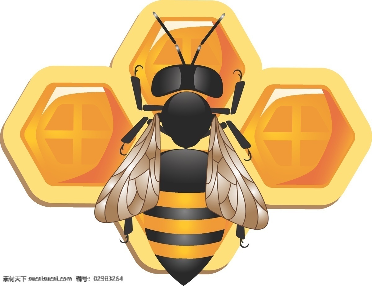 详细 三维 蜜蜂 蜂巢 图标 包 标志 插画 插图 大黄蜂 蜂窝 免费 病 媒 生物 载体 人工智能 ps 图象处理 软件 现代的 独特的 质量 新鲜的 亲爱的 psd源文件