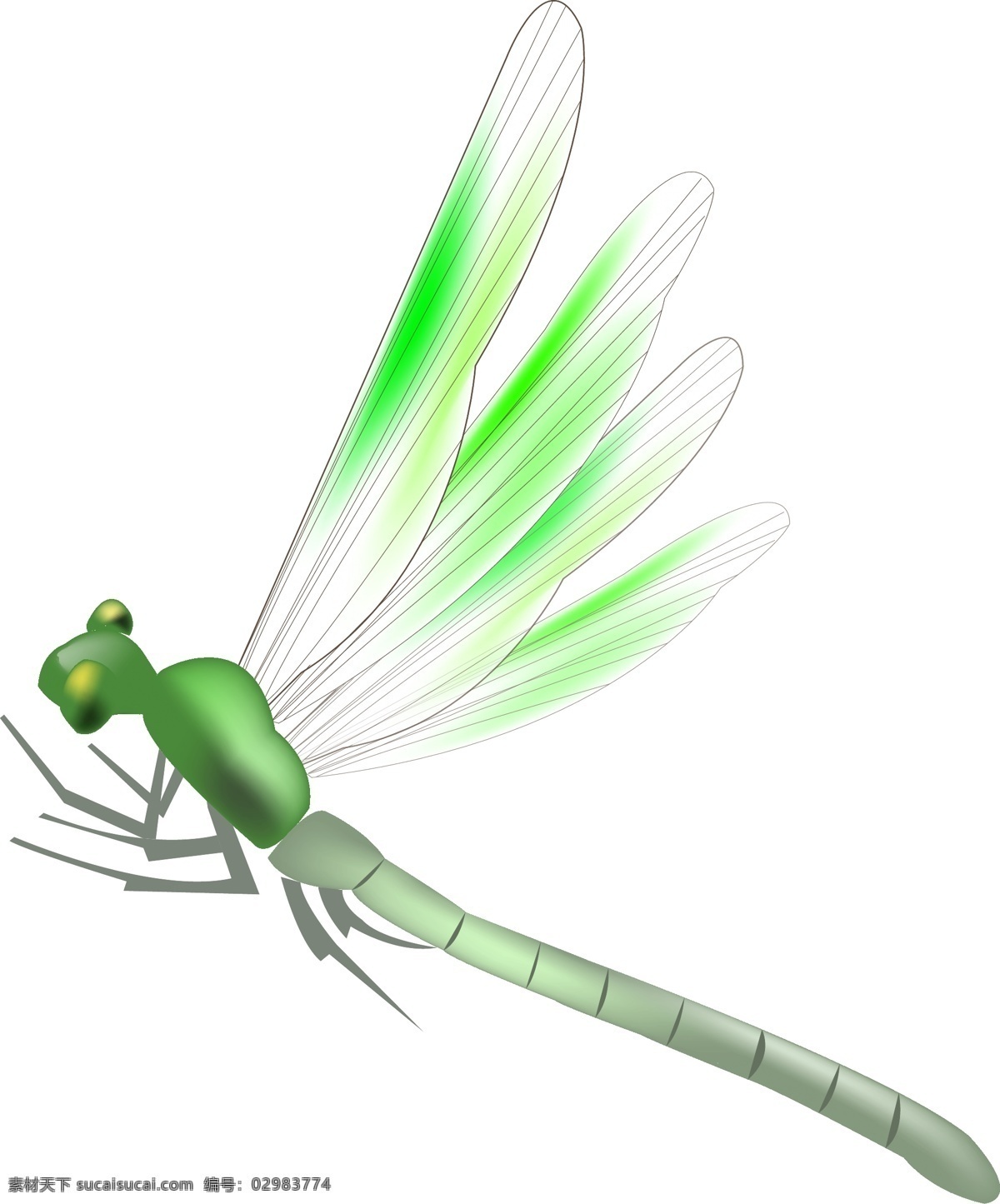 绿色 飞舞 蝴蝶 插画 昆虫 蜻蜓 虫子