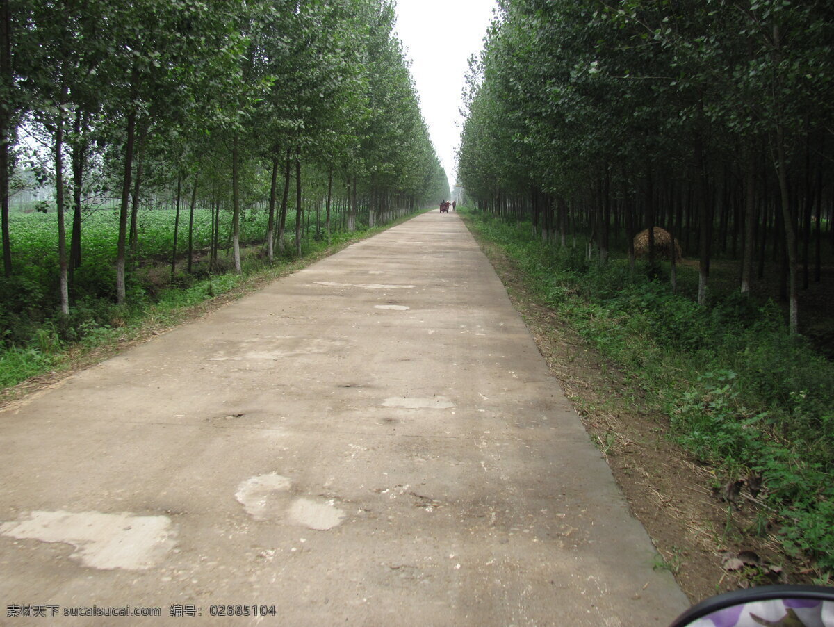 泥河 路口 马路 农村马路 桥头 社旗马路 路边美景 风景 生活 旅游餐饮