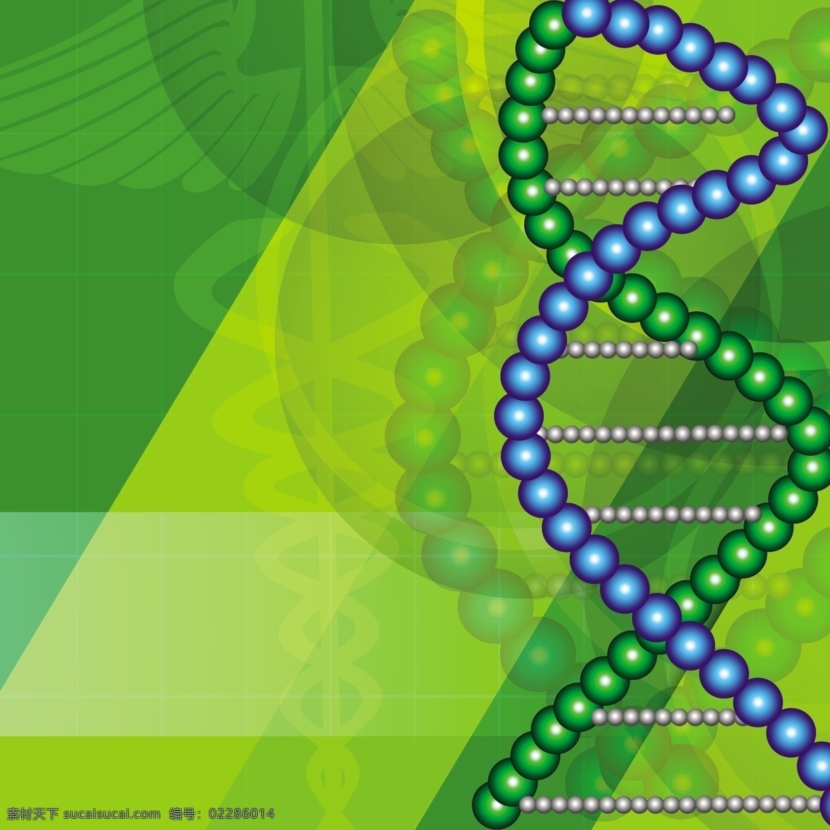 dna 结构 抽象 概念 上 闪闪 发光 绿色 背景 医学 矢量图 日常生活