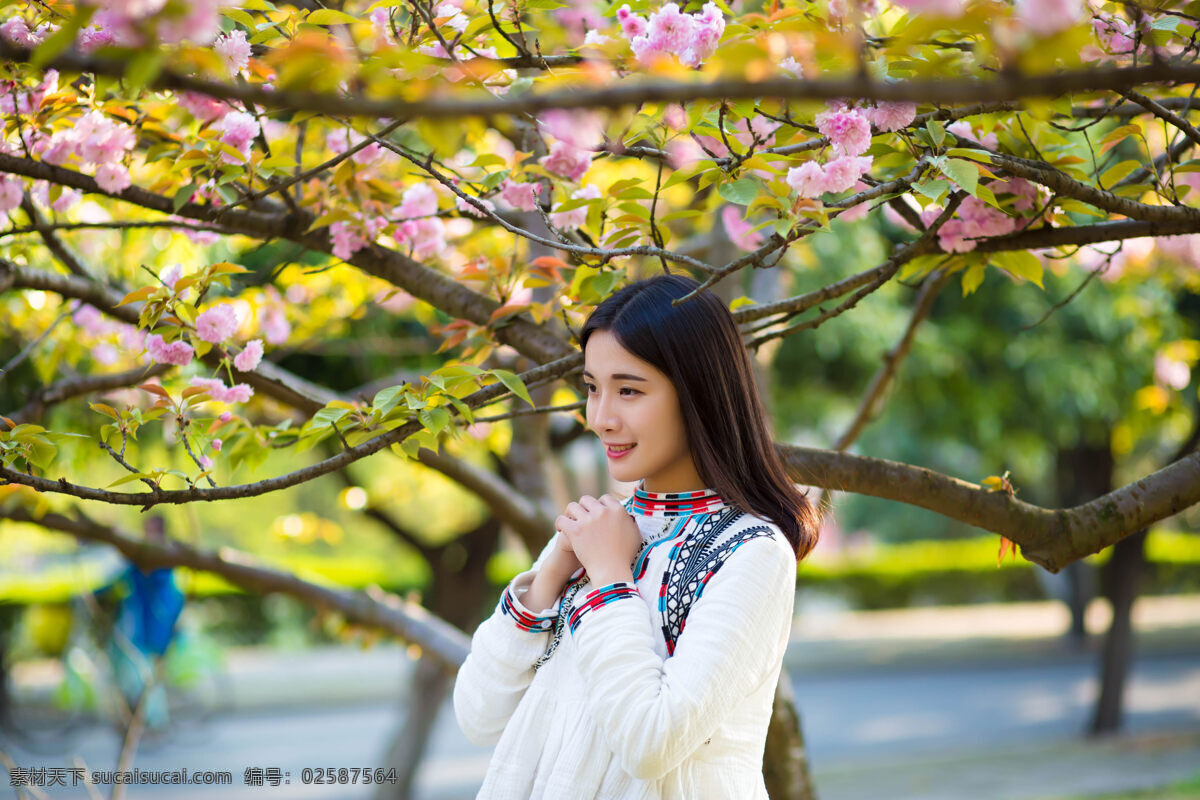 樱花 树下 祈福 女孩 春天 人物图库 人物摄影