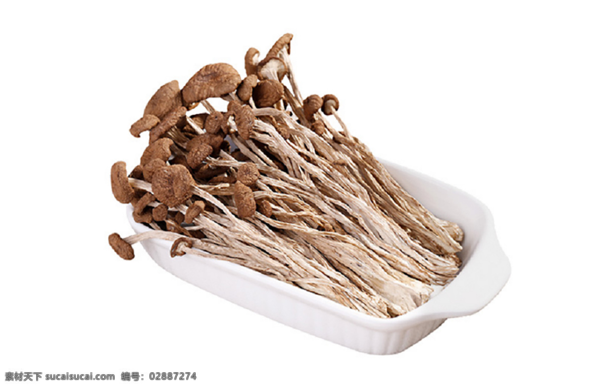 菌类 蘑菇 吃的 食物 菇 餐饮美食 食物原料