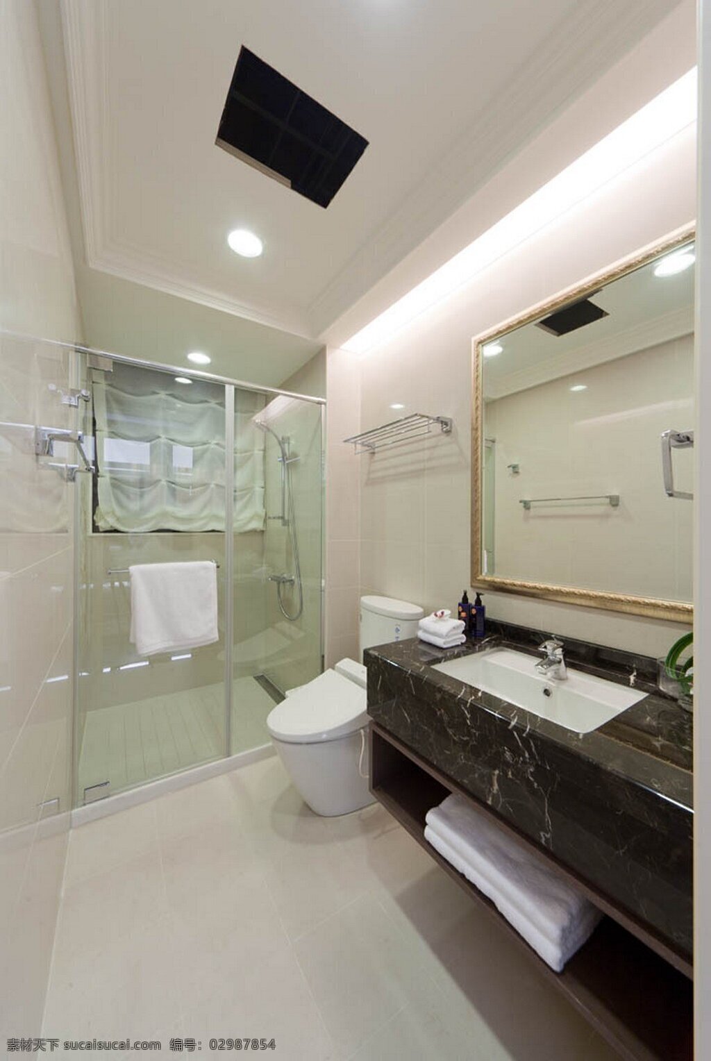 现代 浴室 玻璃门 室内装修 效果图 浴室装修 白色地板 白色背景墙 深色洗手台