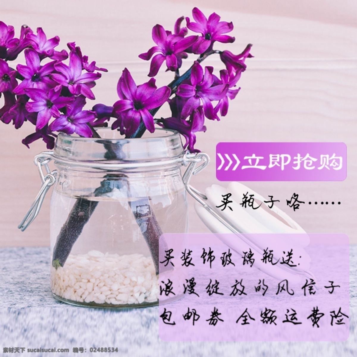 风信子 装饰玻璃瓶 直通车 图 紫色