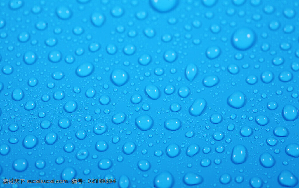 可人 水珠 图片干净 鲜亮 水珠优美 背景图片
