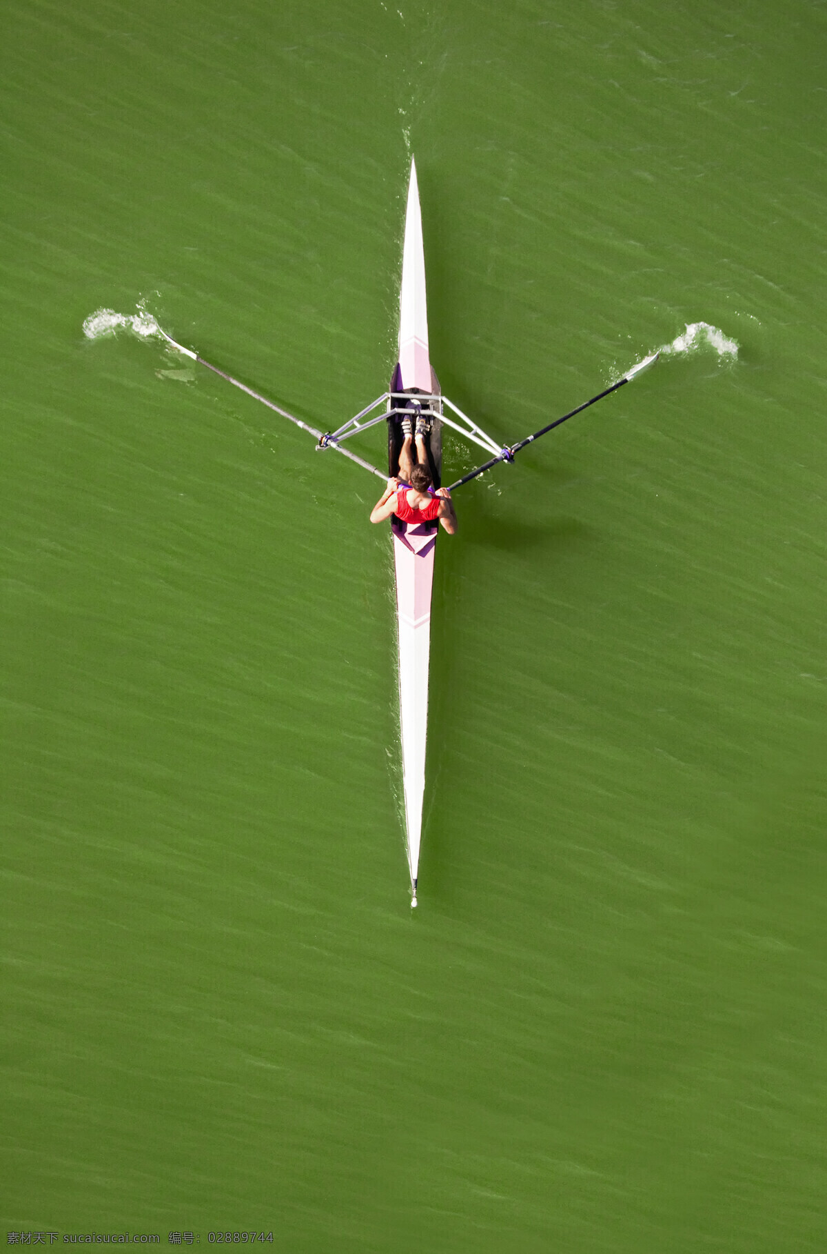 体育竞技摄影 体育竞技 划船 水上运动 运动 运动员 人物 体育运动 生活百科 绿色