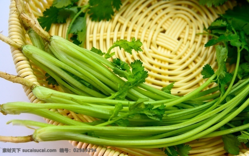 香菜 蔬菜 植物 绿色 绿叶菜 佐料 新鲜 生的 农作物 种植的 膳食纤维 营养 食物 食品 食材 整棵 完整的 新鲜的 白色背景 容器 编织篮 特写 餐饮美食 食物原料