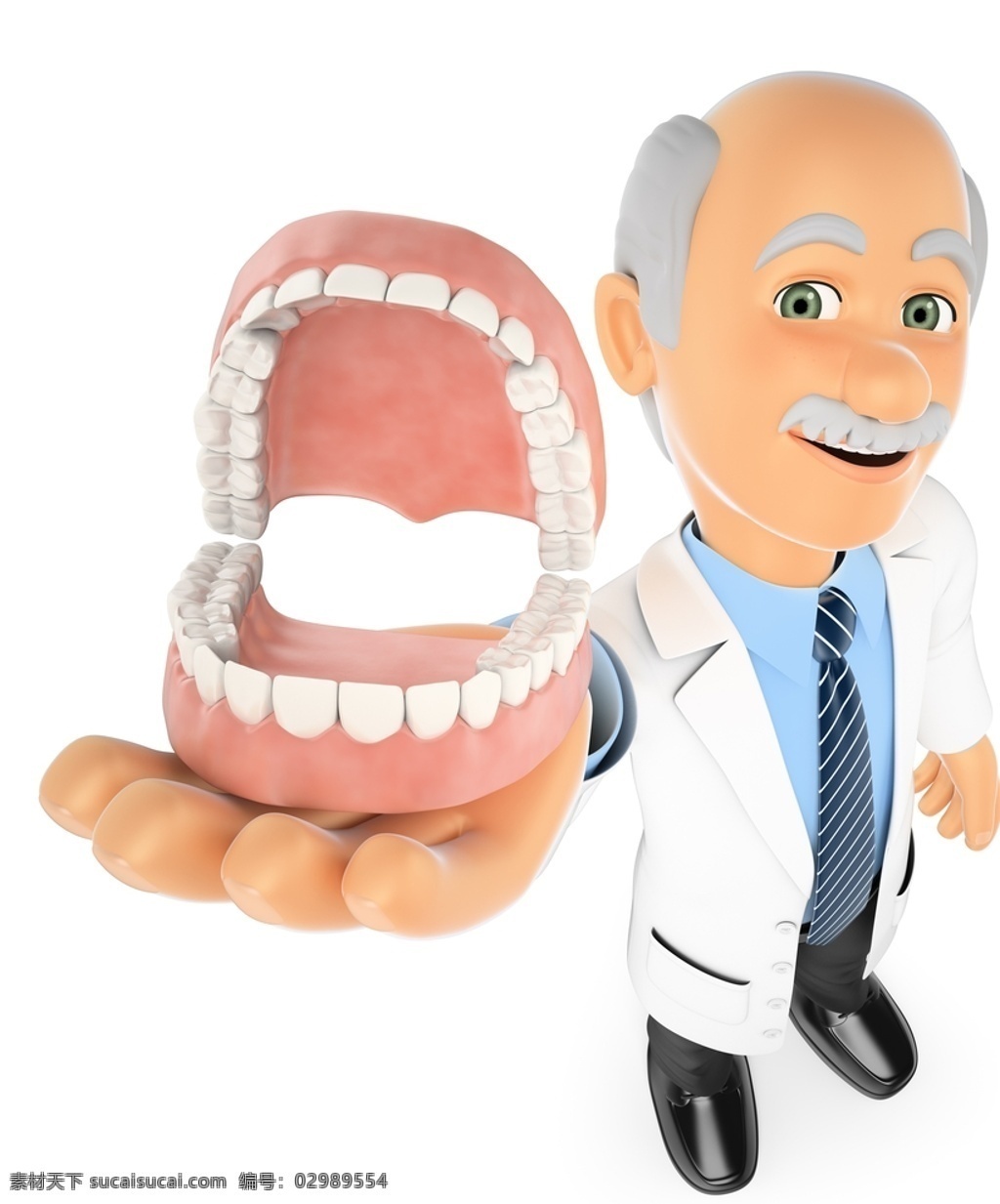 牙医 牙齿模型 牙模 牙龈 牙龄 牙科 口腔护理