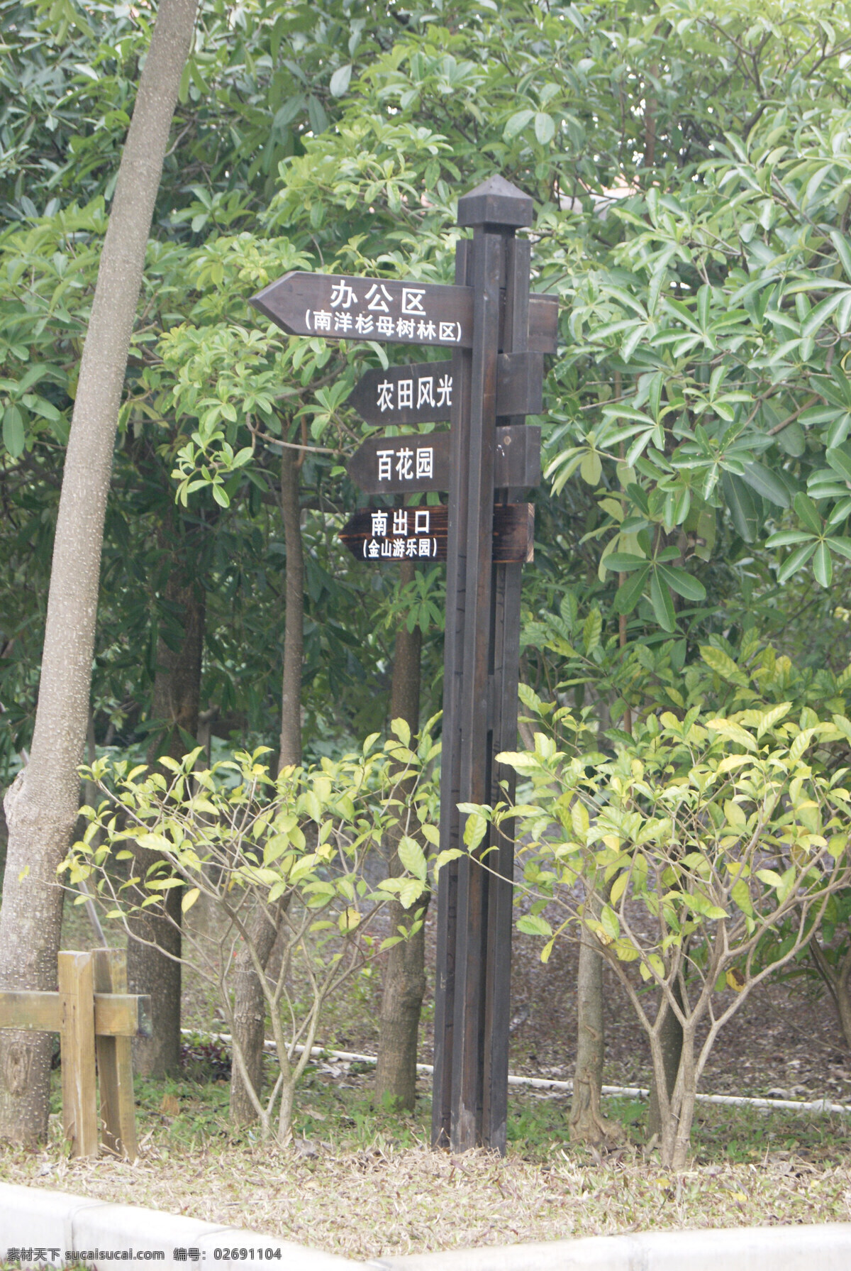 公园 里 方向 牌 草地 建筑园林 树木 园林建筑 指示牌 木方向牌 阳江市 植物 psd源文件