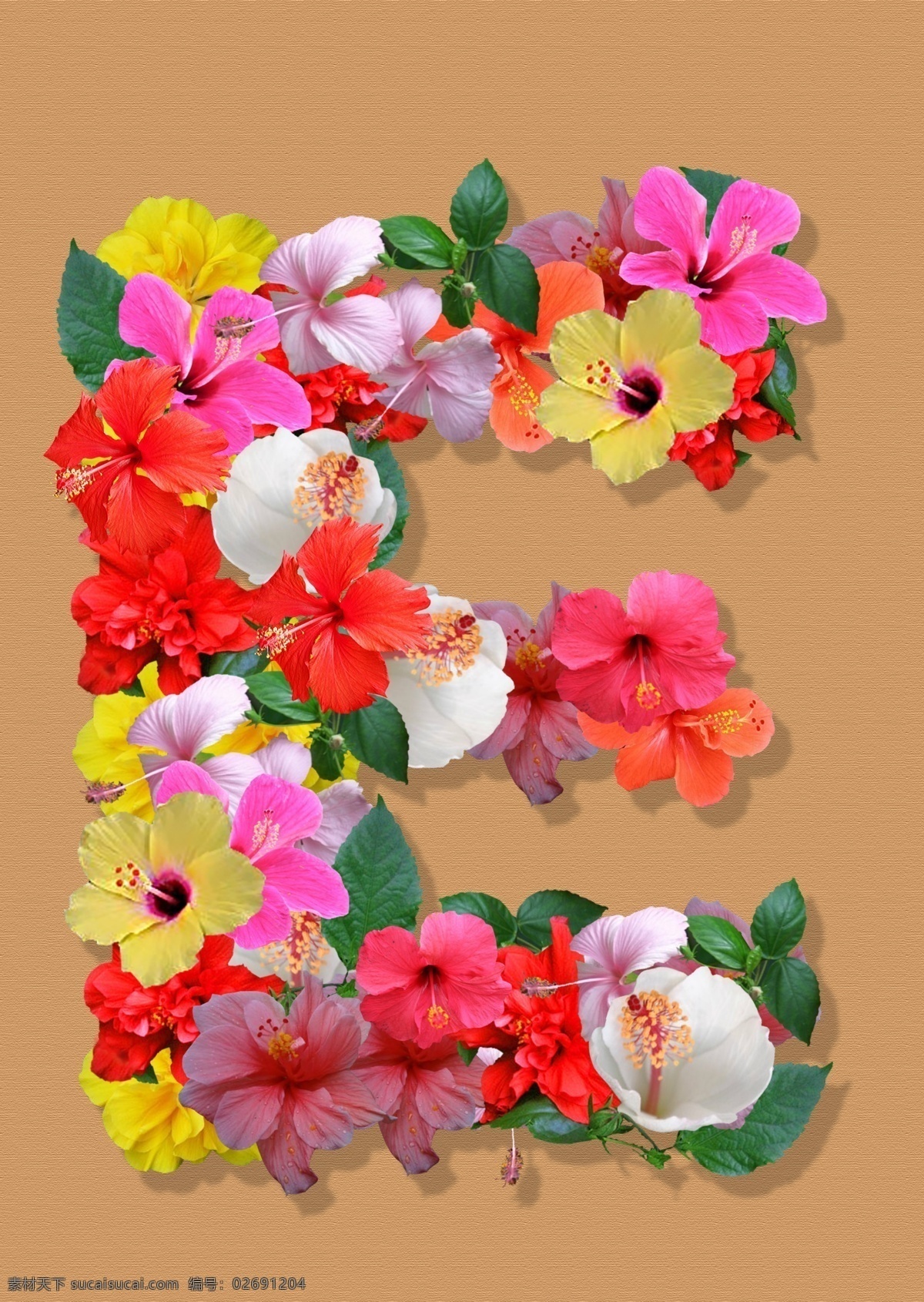 朱槿 花 e 字母e 字体设计 朱槿花 psd源文件 艺术字