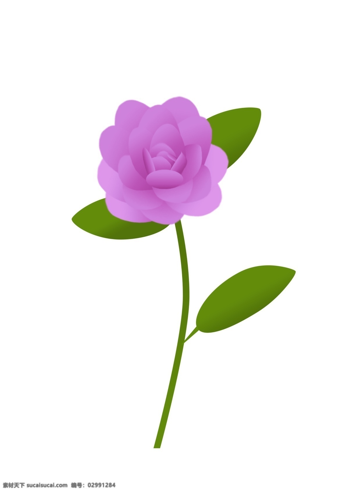 简约 手绘 矢量 紫色 玫瑰 花朵 绿叶 元素 玫瑰花 枝叶 设计元素
