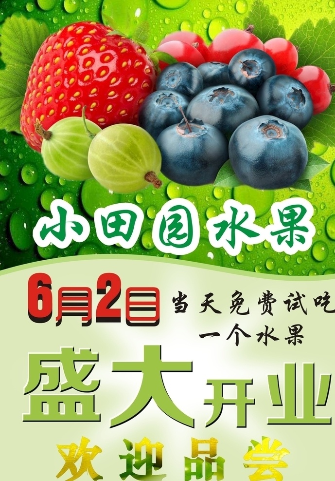 水果宣传单 水果 水果素材 水果广告 水果设计
