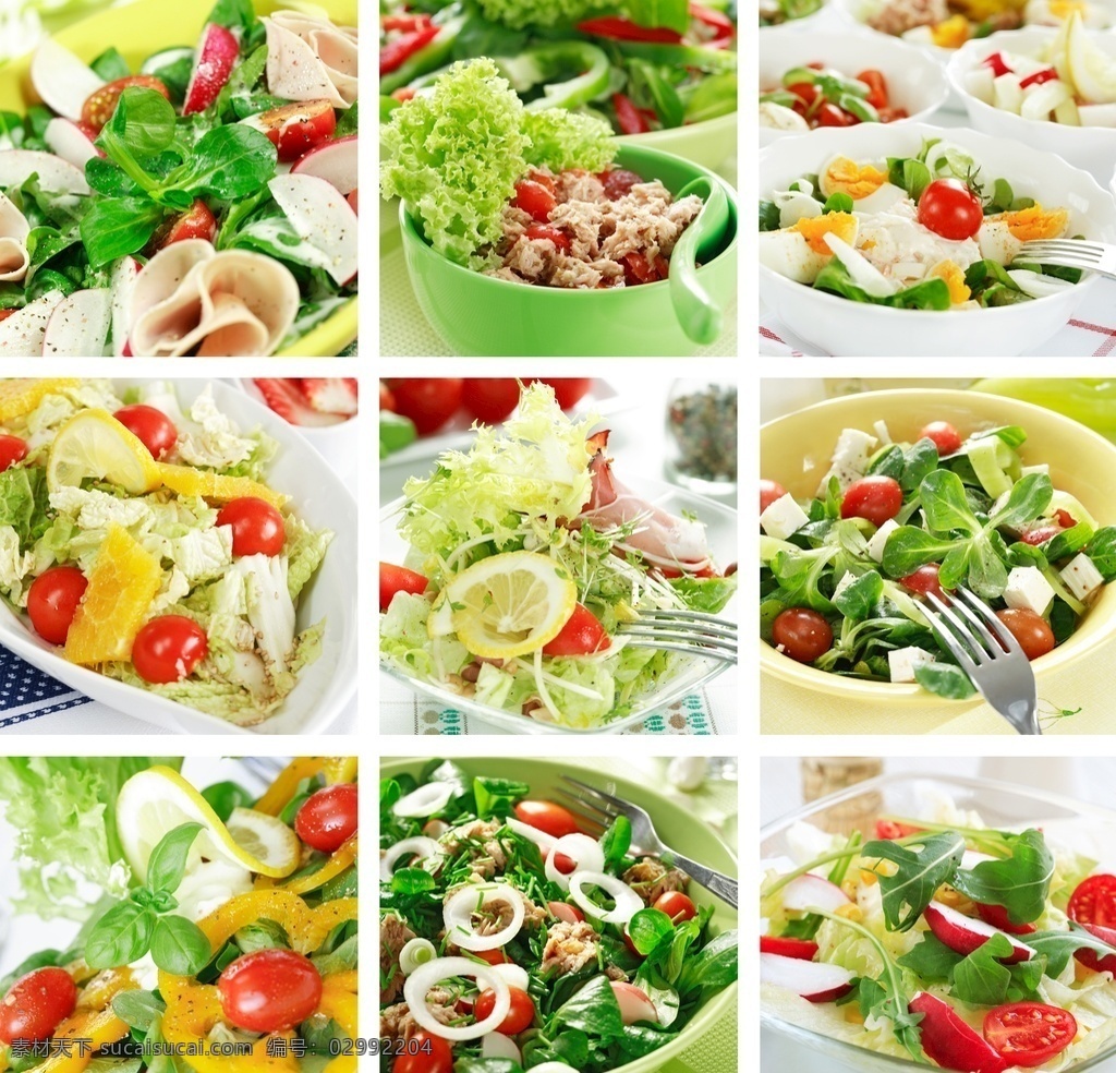 美食 蔬菜沙拉 设计素材 平面设计 分层 文件 300像素 画册设计
