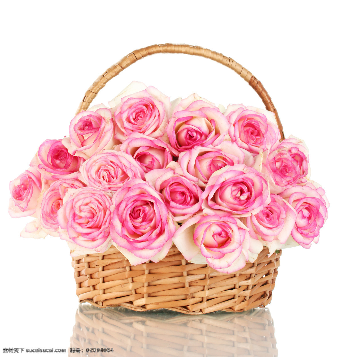 篮子 里 玫瑰花 粉红玫瑰 花篮 美丽鲜花 花卉 美丽花朵 花草树木 生物世界
