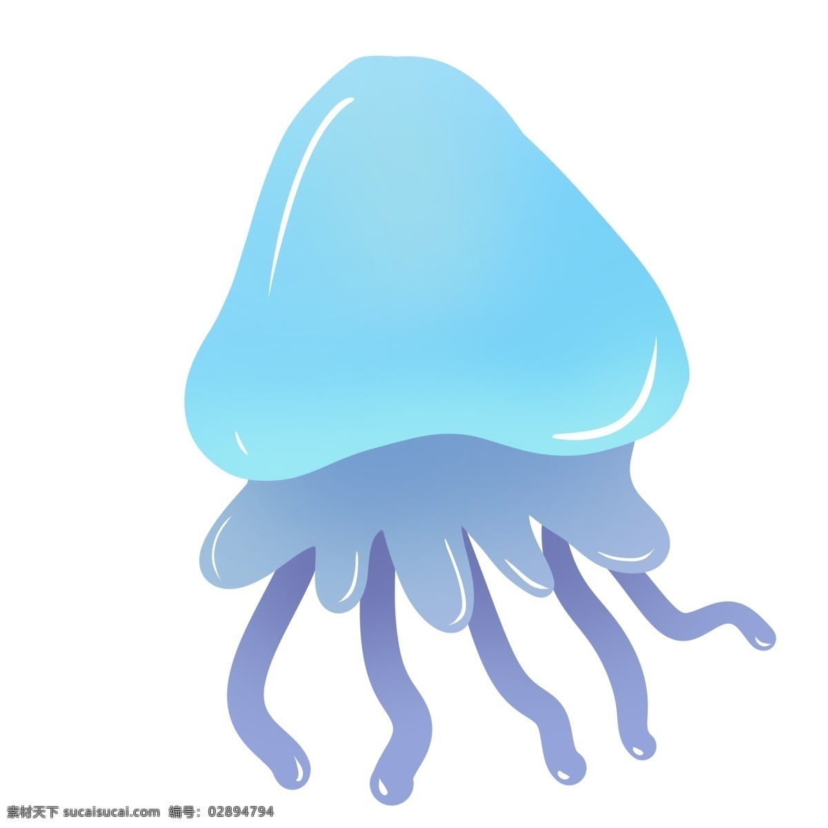 双色海洋水母 水母 动物 海洋生物