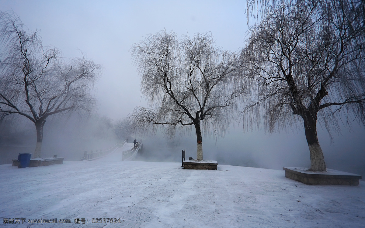 大明湖雪霁 大明湖 雪霁 大明湖雾凇 大明湖垂柳 大明湖雪韵 明湖冬景 风景名胜 自然景观