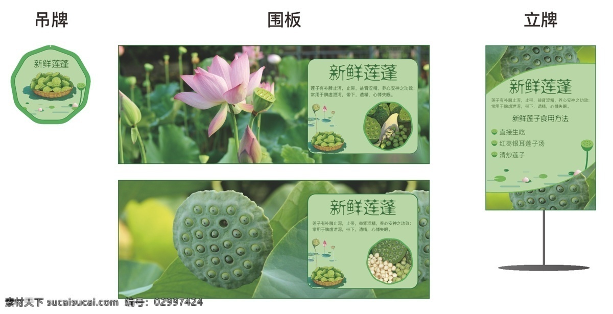 莲蓬 莲子 海报 banner 竖牌 立牌 宣传牌 莲花莲子 吊牌 横版背景 平面设计