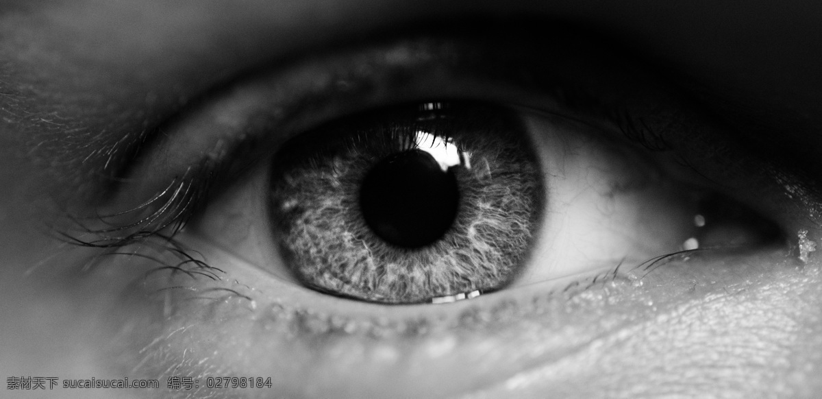 大眼睛 保护眼睛 眼睛 明亮 眼睛特写 一只眼睛 眼睫毛 瞳孔 眼珠 人物图库 日常生活