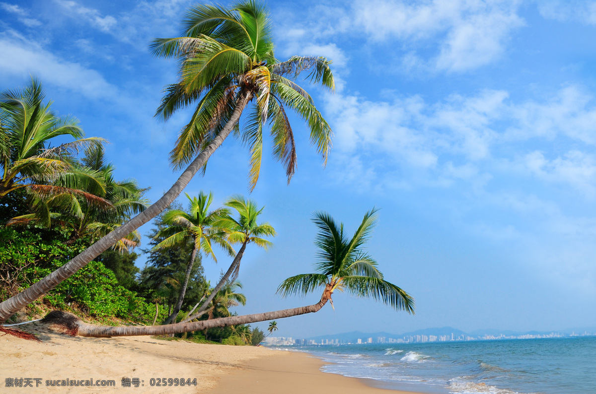 海南 三亚湾 沙滩 沙子 椰子树 海滩 海水 海边 三亚 大海 蓝天白云 蓝天 天空 海 风景 云 白云 风景摄影 亚热带植物 婚纱相背景 自然风景 自然景观