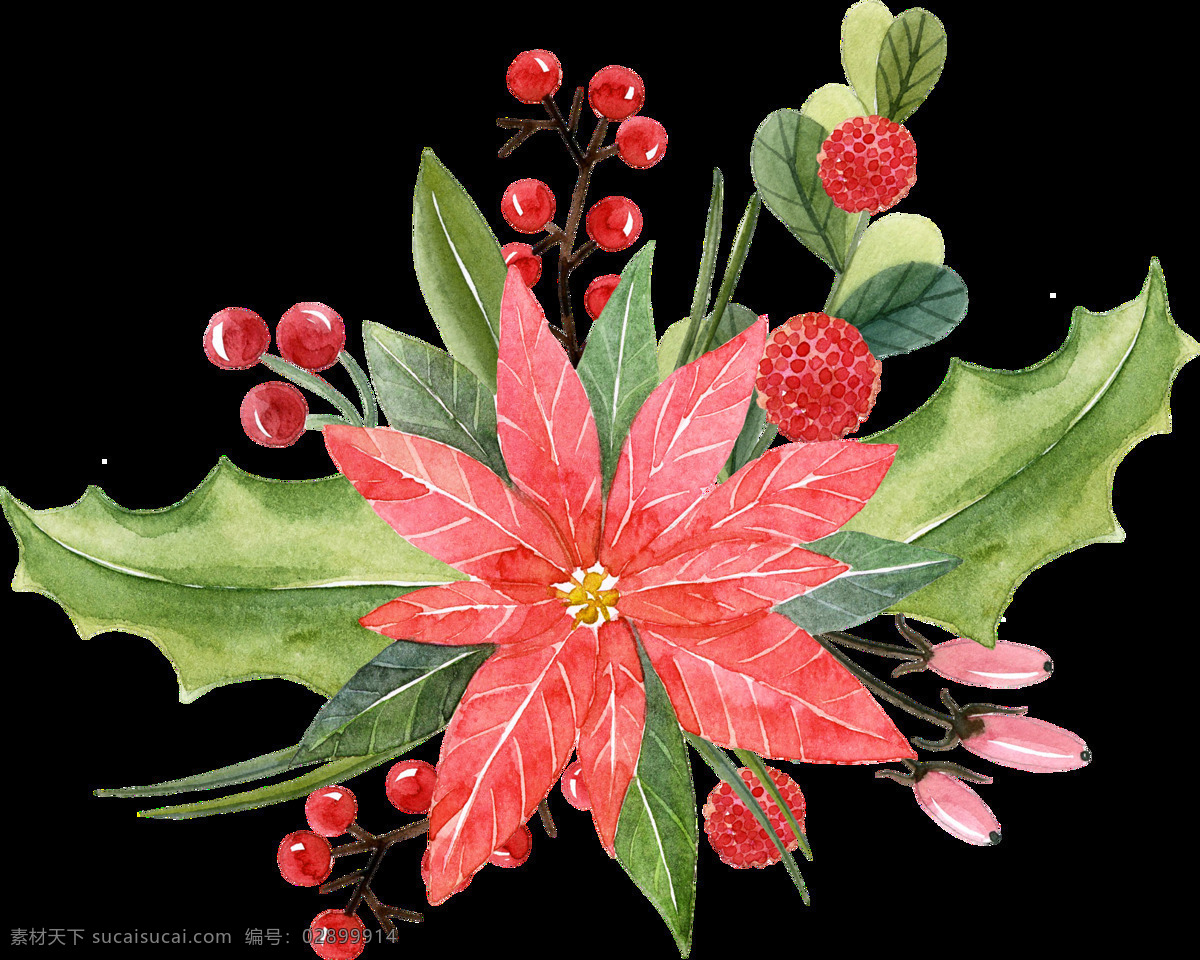 手绘 红色 花 透明 绿叶 果子 花苞 透明素材 免扣素材 装饰图片