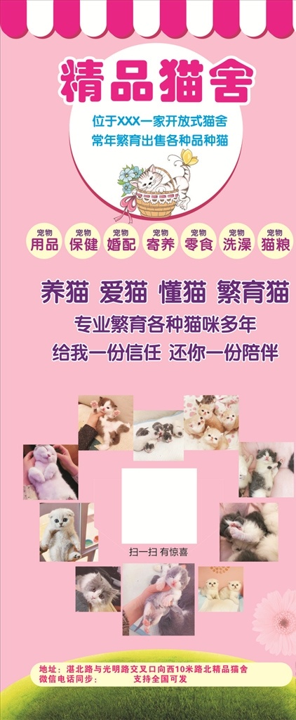 猫舍展架 猫咪 海报 可爱 粉色 经营