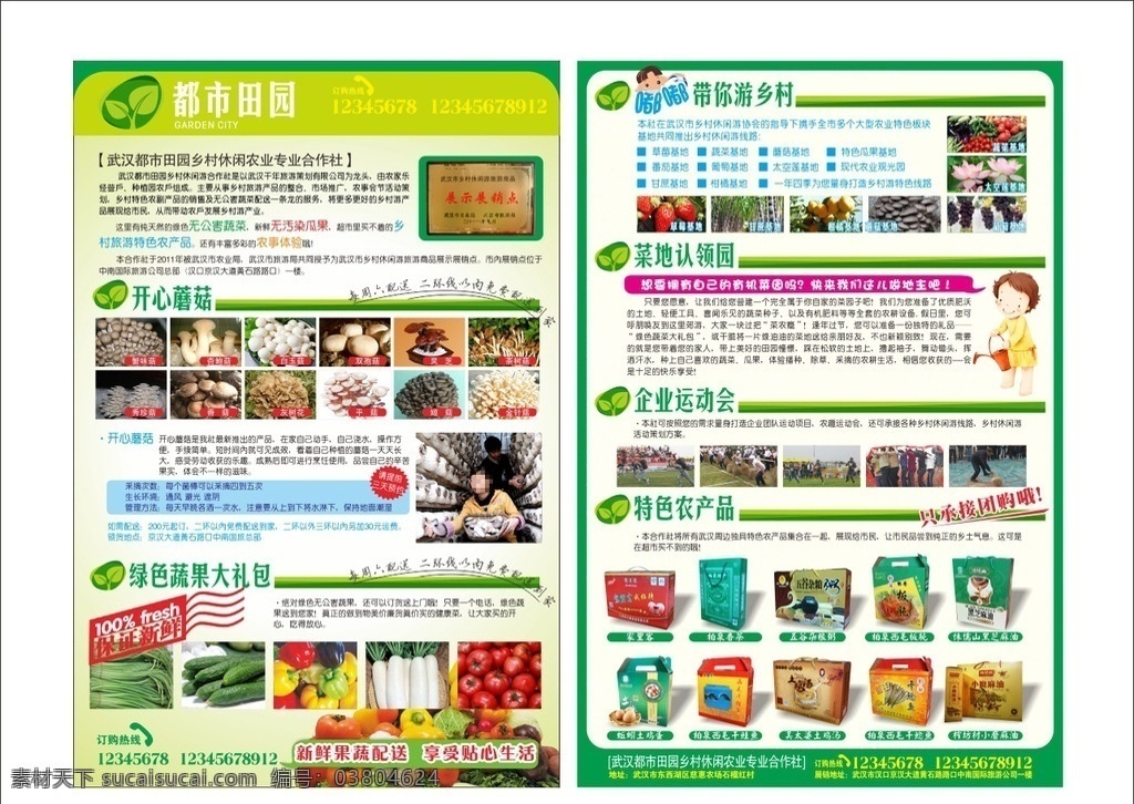 蔬菜 配送 宣传单 农产品 农业旅游 蔬果大礼包 水果 乡村游 蘑菇 蔬菜配送