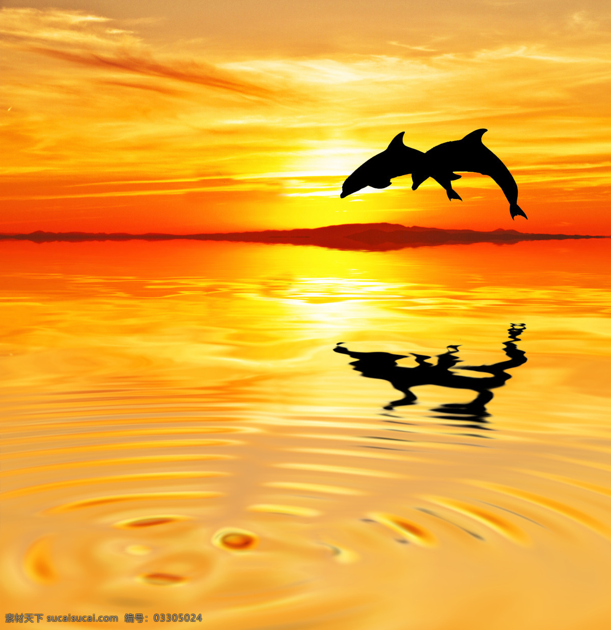 跳出 水 面的 海豚 天空 海岸风景 美丽风景 自然风光 美丽景色 自然美景 自然风景 自然景观 其他风光 风景图片